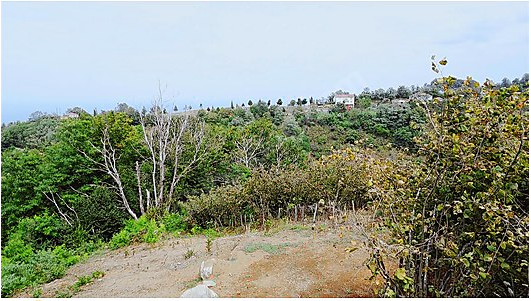 MABEL ,DEN ÇAYTEPE MH.BOSTA MEVKİSİNDE DENİZ MANZARALI ARSA